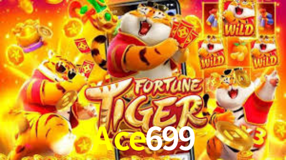 Premium Interface Ace699